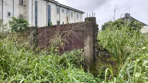 For Sale : 2 Plots on the Street, Winner's Chapel, Rumudomaya, Ph