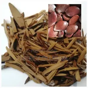 Ugba/Ukpaka (African Oil Bean Seed) We Sell by by 50kg Upward