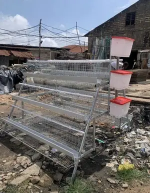 Imported Cage