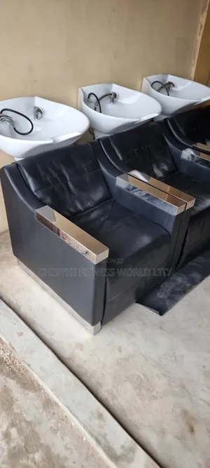 Executive Saloon Hair Washing Basin