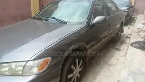 Toyota Camry 2002 Gray
