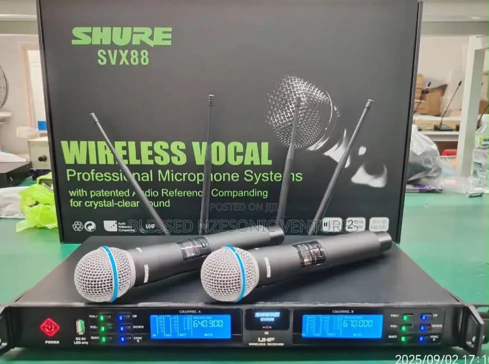 Professional Wireless Microphone