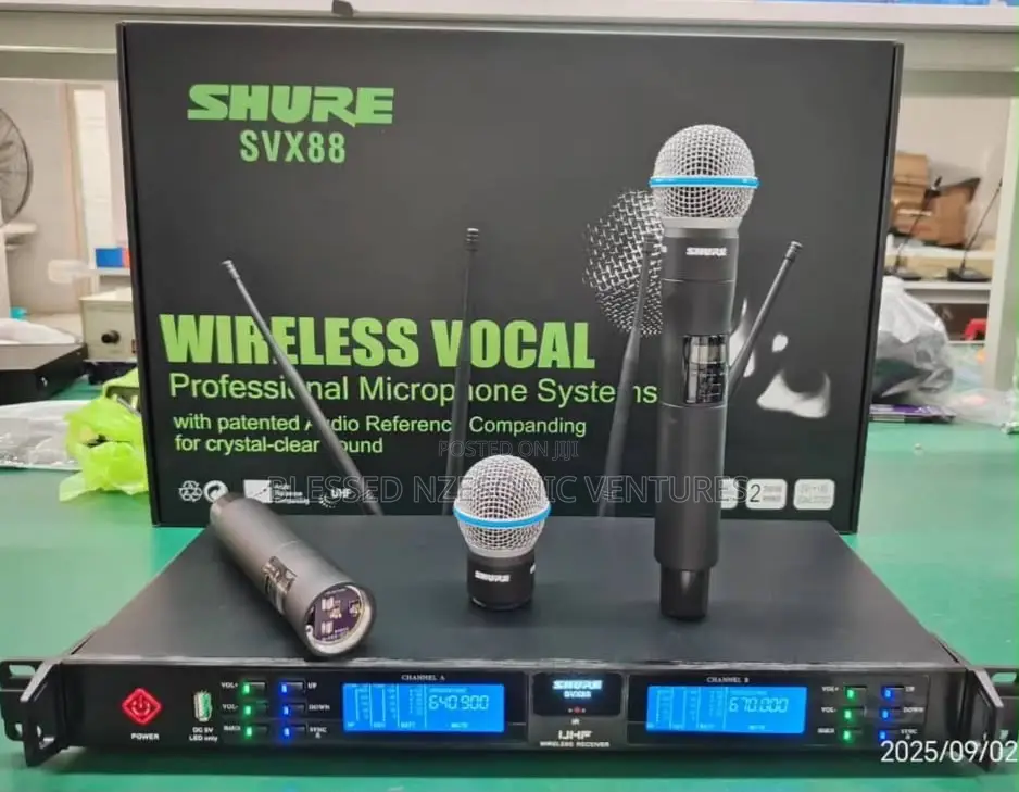 Professional Wireless Microphone