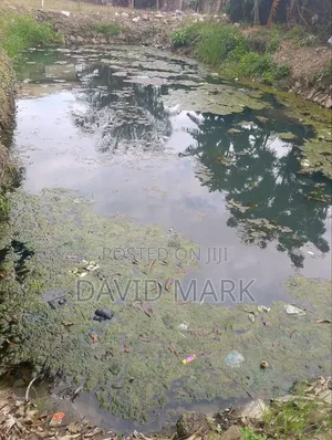 Fish Pond for Rent