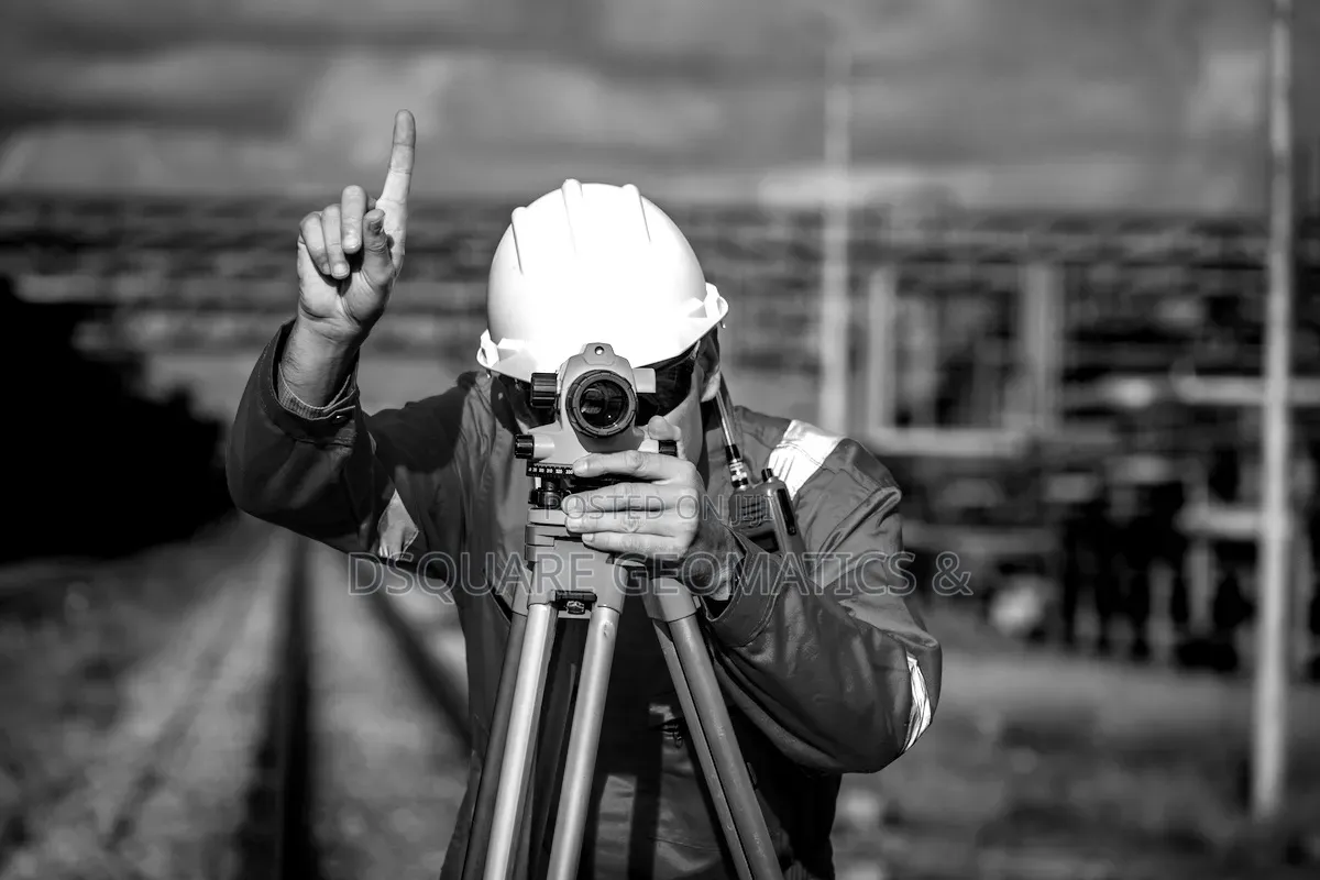 Professional Land Surveyor