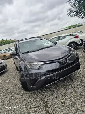 Toyota RAV4 LE 4dr SUV AWD (2.5L 4cyl 6A) 2018 Gray