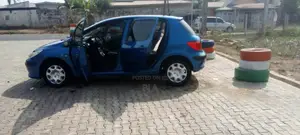 Peugeot 307 2008 Blue