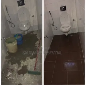 Saubanex Cleaning Services