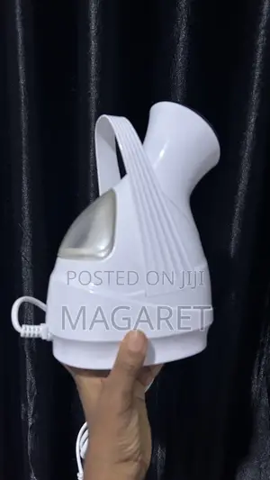 Facial Steamer