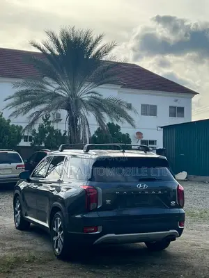 Hyundai Palisade 2020 Blue
