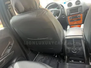 Mercedes-Benz M Class 2009 Silver