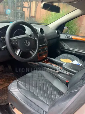 Mercedes-Benz M Class 2009 Silver