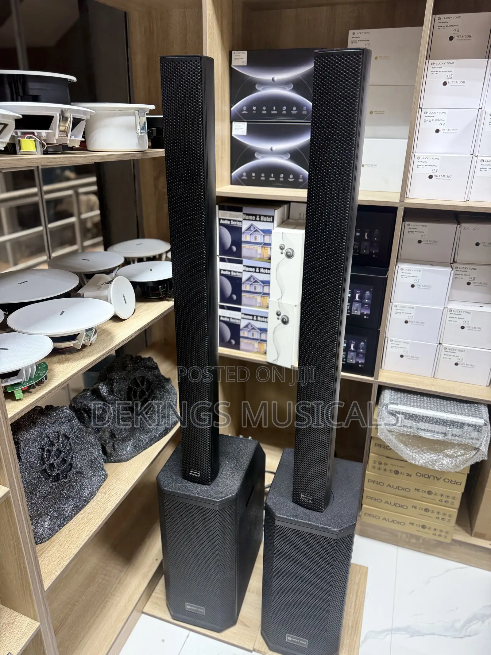 Pair of Magnetic Pole Speaker With Active System