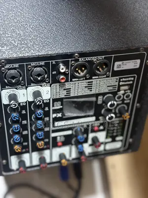 Pair of Magnetic Pole Speaker With Active System