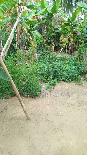 Land in Different Locations in Akwa Ibom State