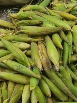 Sweet Corn /Kg