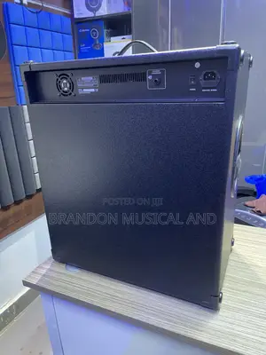 Professional Marvelous Sound Guitar Combo Speaker