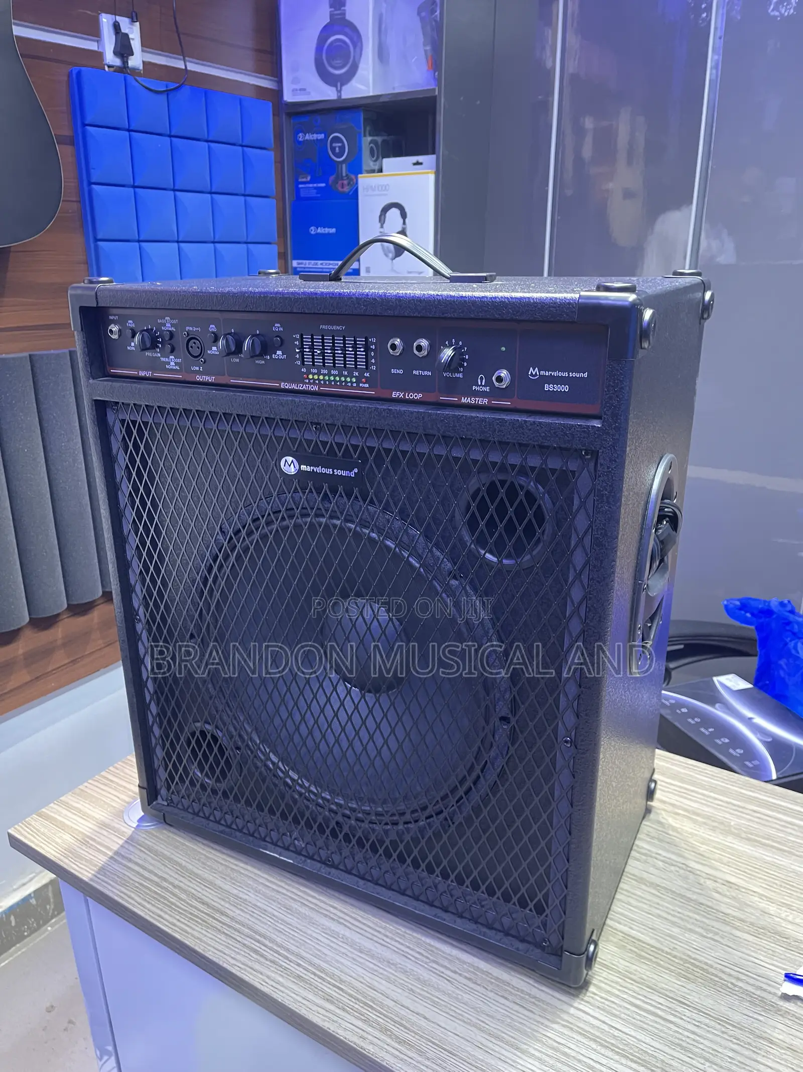 Professional Marvelous Sound Guitar Combo Speaker