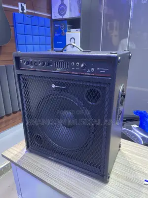 Professional Marvelous Sound Guitar Combo Speaker