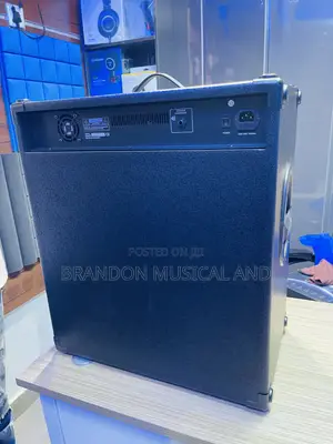 Professional Marvelous Sound Guitar Combo Speaker
