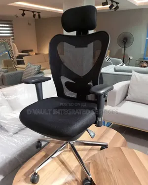 Exquisite Ergonomic Office Chair