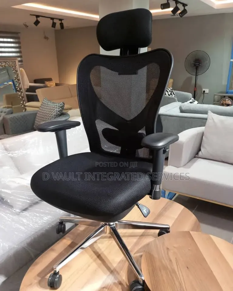 Exquisite Ergonomic Office Chair