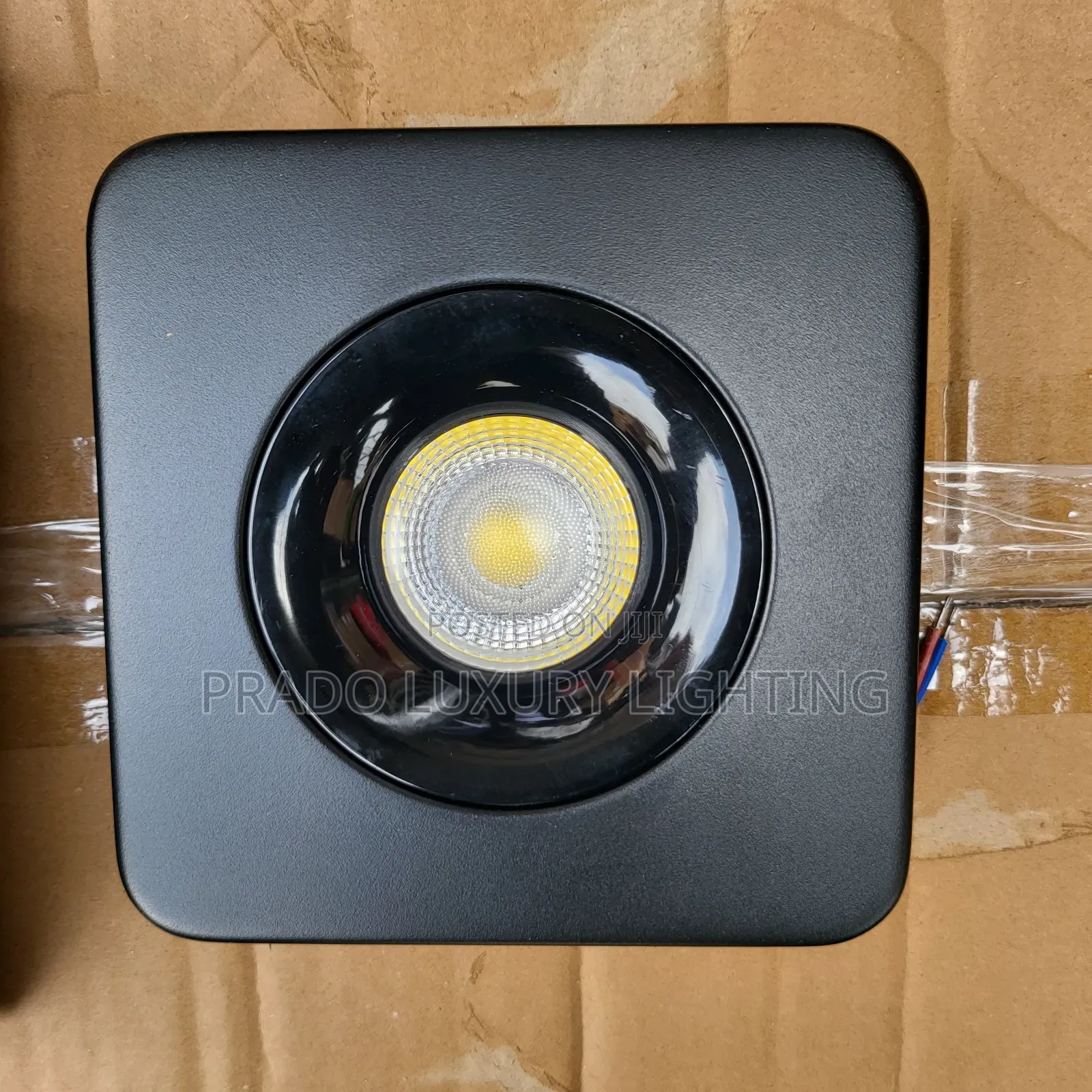 Surface Light