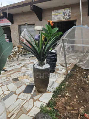 Big Potted Flower for Your Living Space