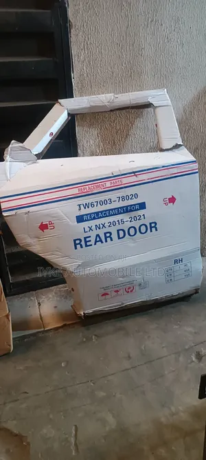 Door Nx200 2015