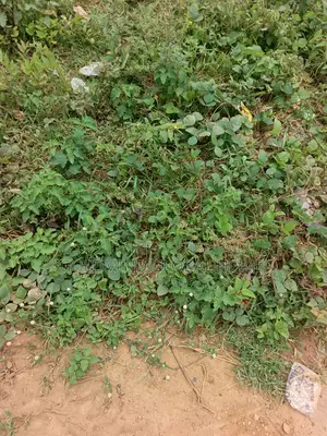 Estate Plot for Duplex Sale in Lokogoma. 750SQM