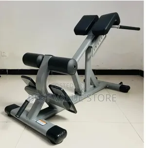Commercial Hyper Extension Roman Chair