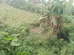 Land Fore Sale
