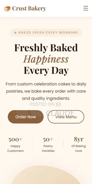 Professional Website Design — From | Fast Delivery