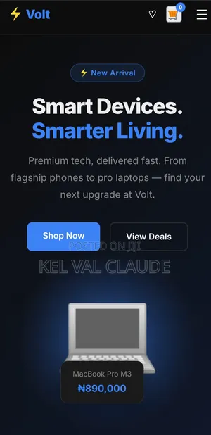 Professional Website Design — From | Fast Delivery
