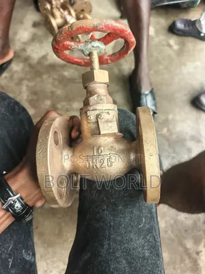 1" (25mm)Brass/Bronze Marine Globe Valve