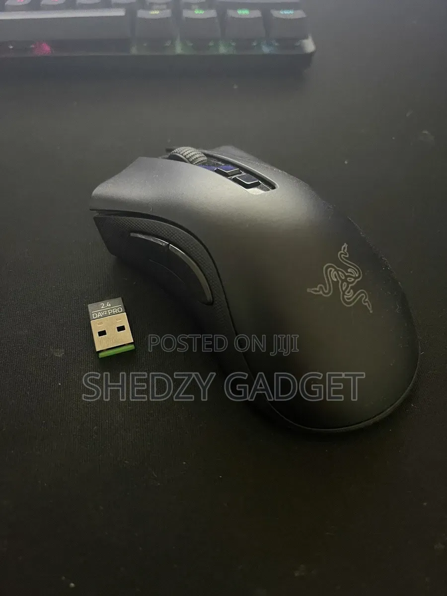Razer - DeathAdder V2 Pro Wireless Gaming Mouse - Black