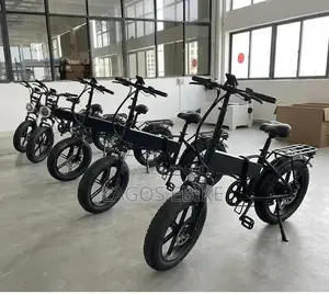 Foldable E-Bike Electric Bike