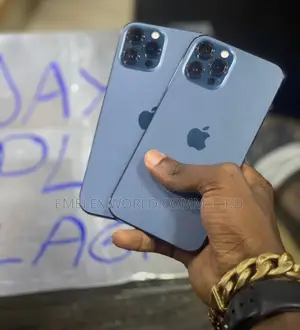 Apple iPhone 12 Pro Max 256 GB