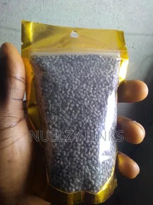 Vitex Seeds (Chaste Berry)