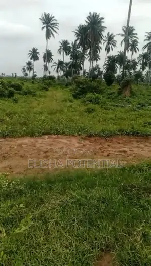 Virgin Land for Sell