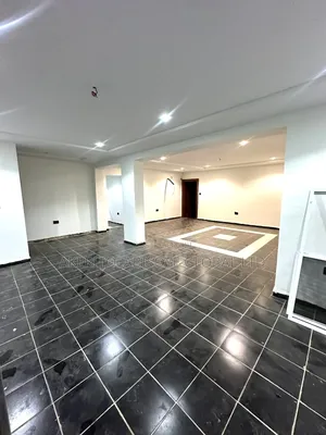 2bdrm Apartment in Asokoro Main Abuja for rent
