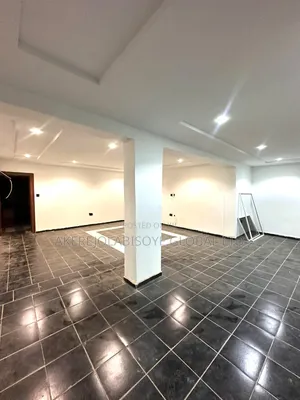 2bdrm Apartment in Asokoro Main Abuja for rent