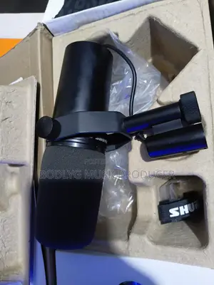Shure Microphone