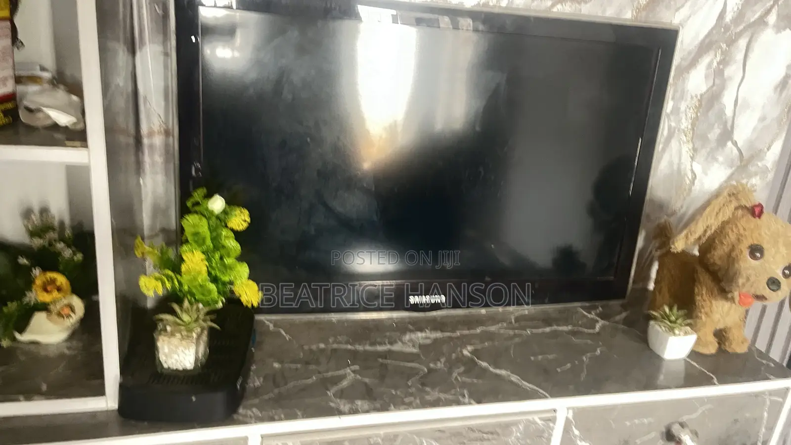 Television