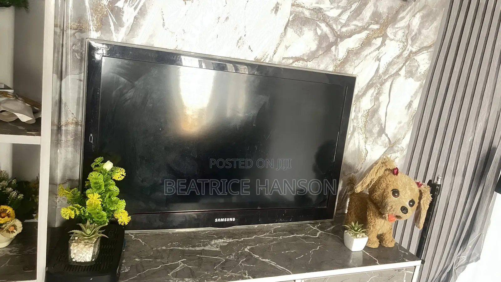 Television