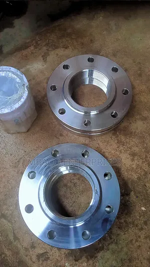 Stainless Threaded Flange 3"