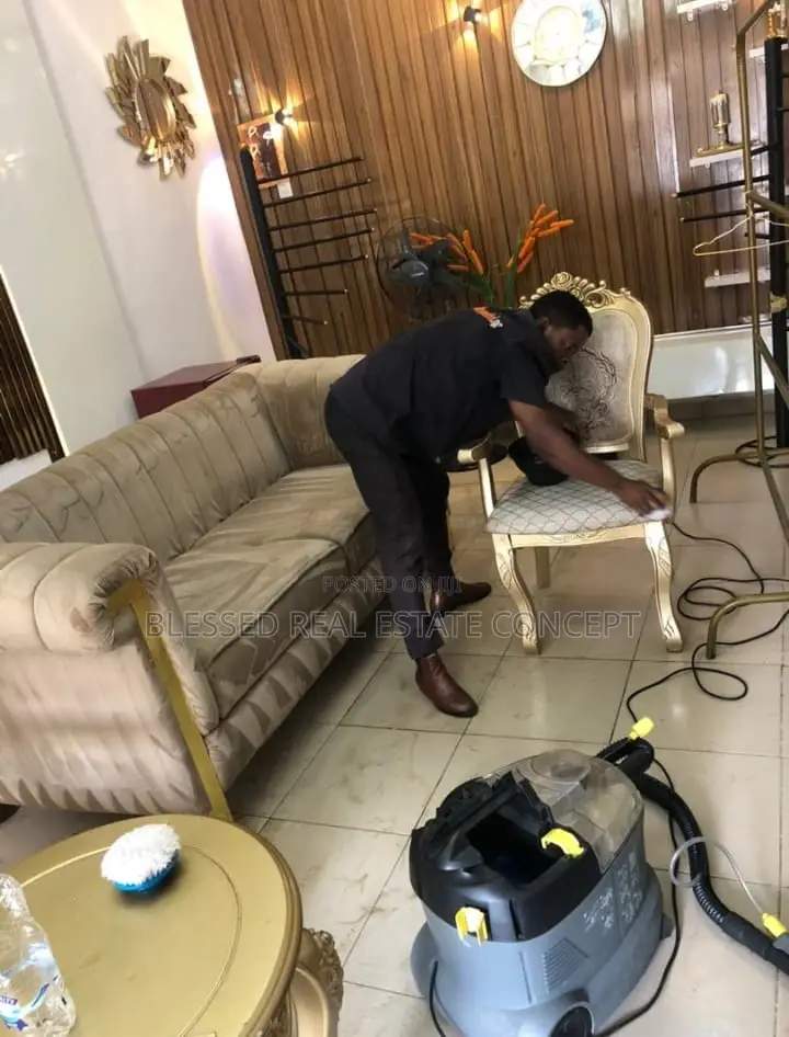 Upholstery Cleaning/Deep Cleaning