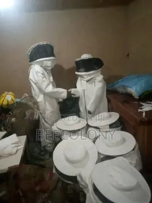 Bee Suit/ Bee Gear