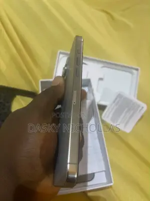 Apple iPhone 15 Pro Max 256 GB Gray