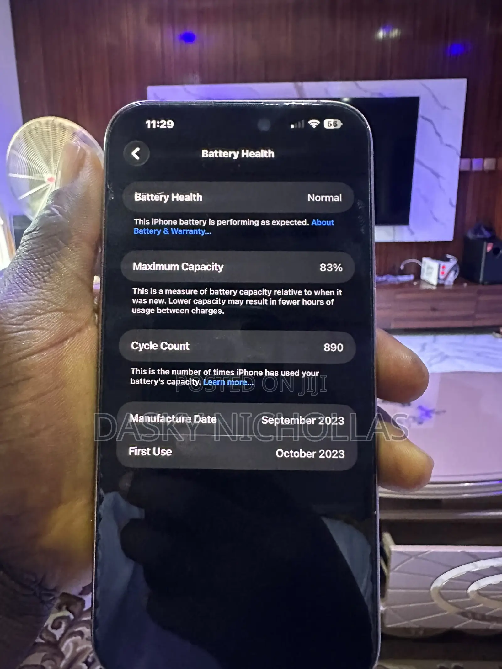 Apple iPhone 15 Pro Max 256 GB Gray